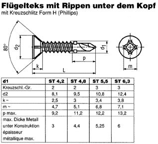 SN 1005 Flügelteks