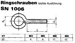 SN 1006